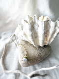 Misty Green Striped Cone Shell Necklace