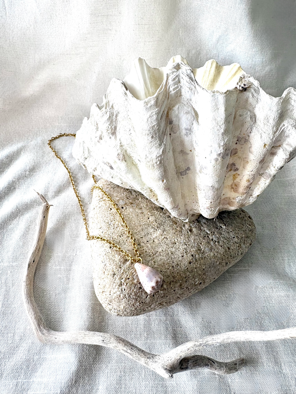 Princess Cone Shell Necklace