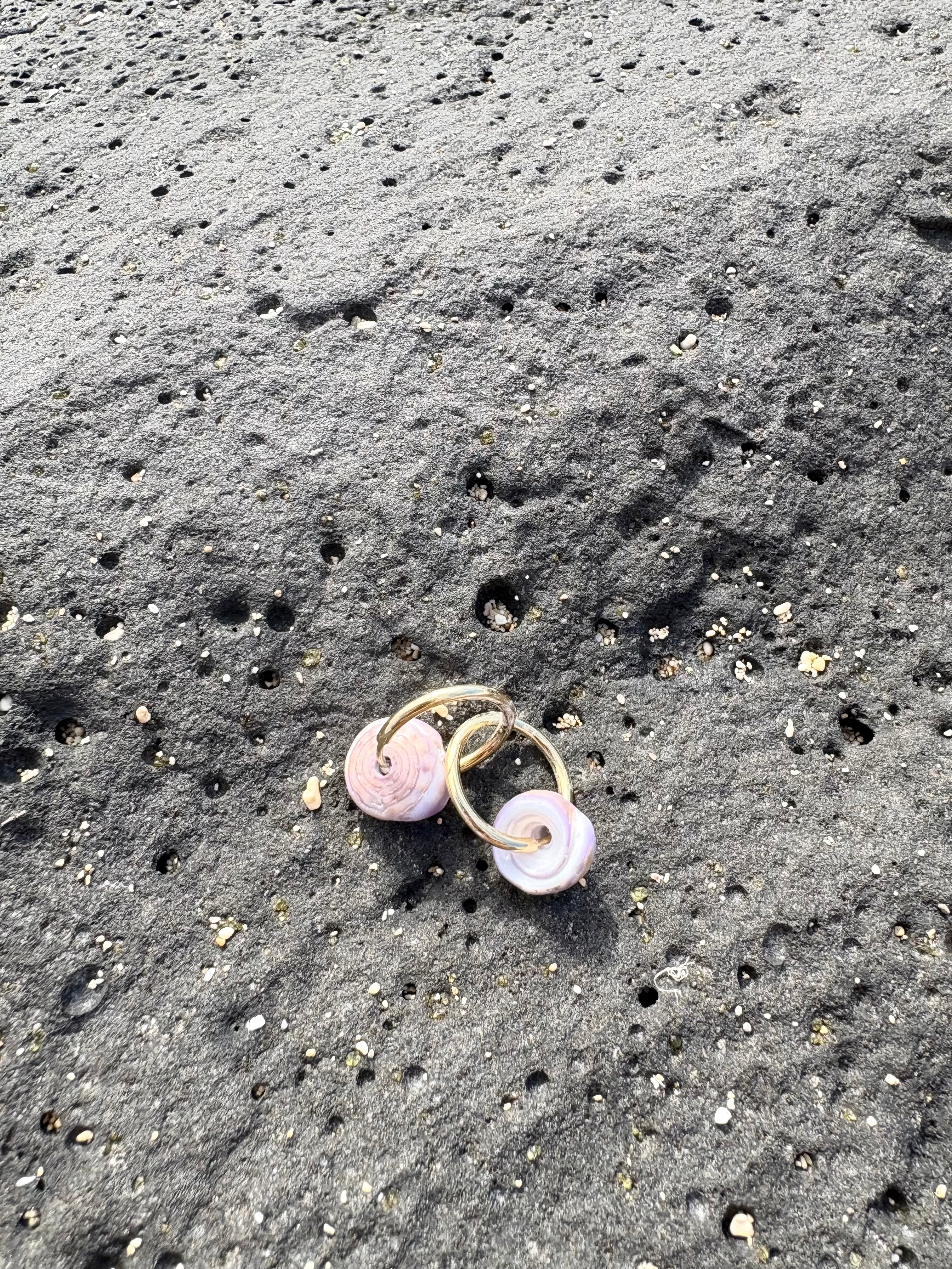 Purple Puka shell Earrings