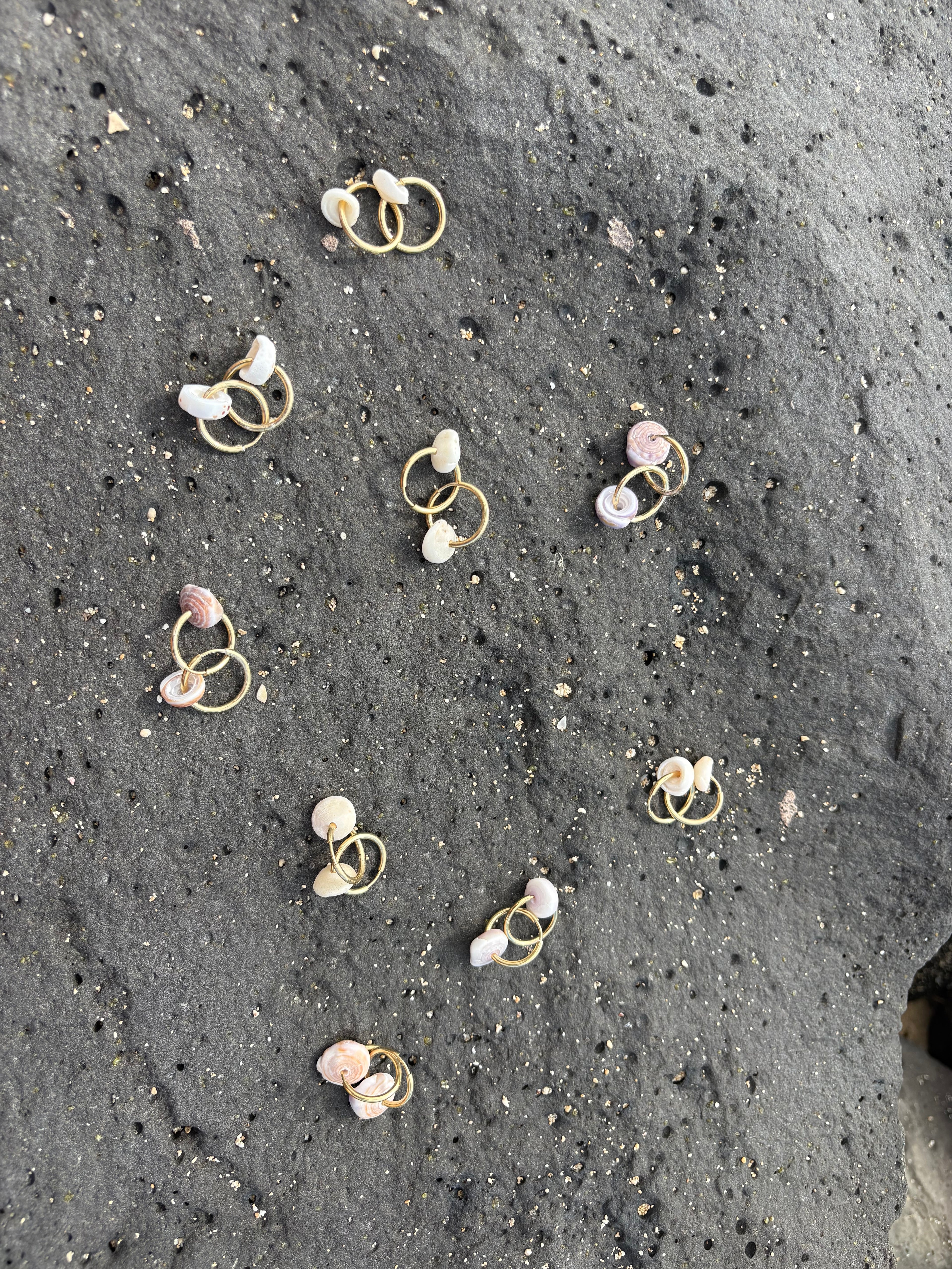 Purple Puka shell Earrings