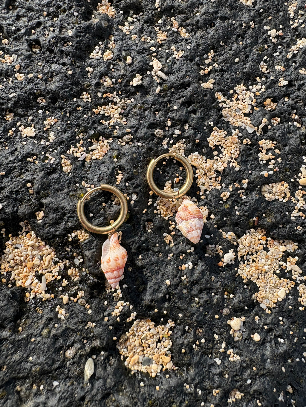 Small Shell Earrings