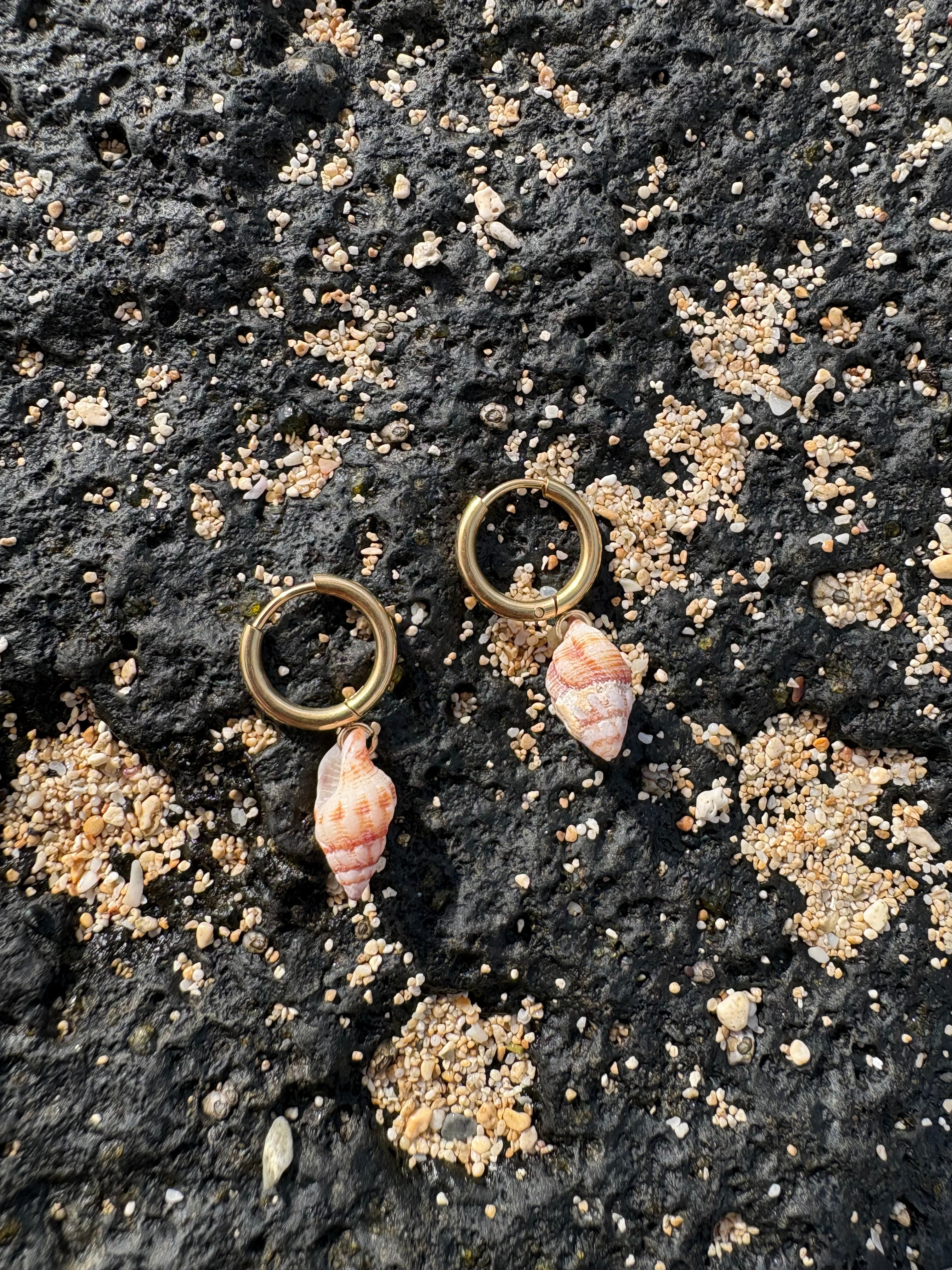 Small Shell Earrings