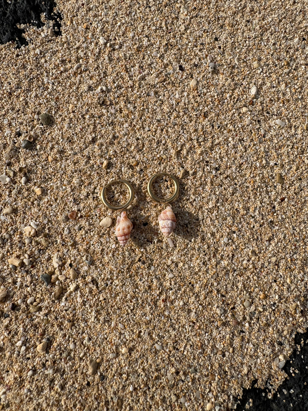 Small Shell Earrings