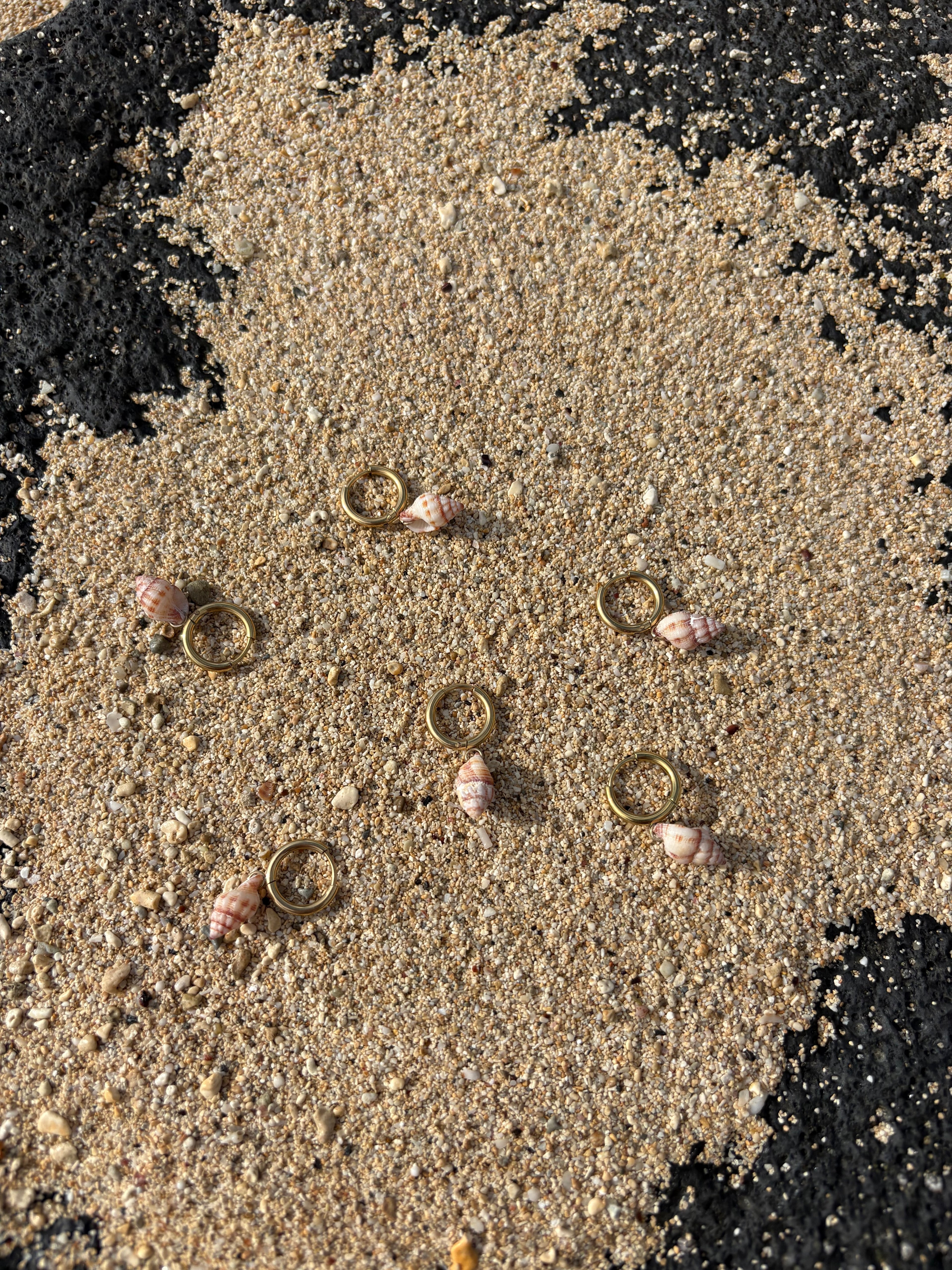 Small Shell Earrings