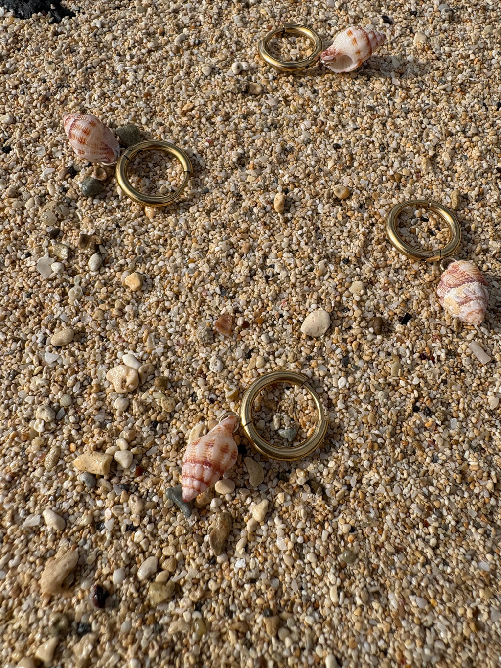 Small Shell Earrings