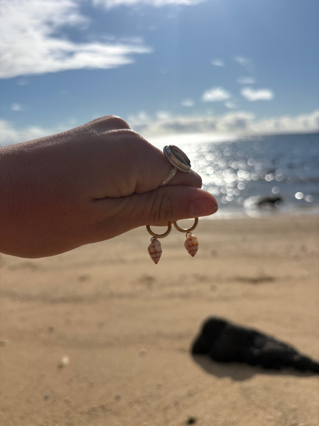 Small Shell Earrings