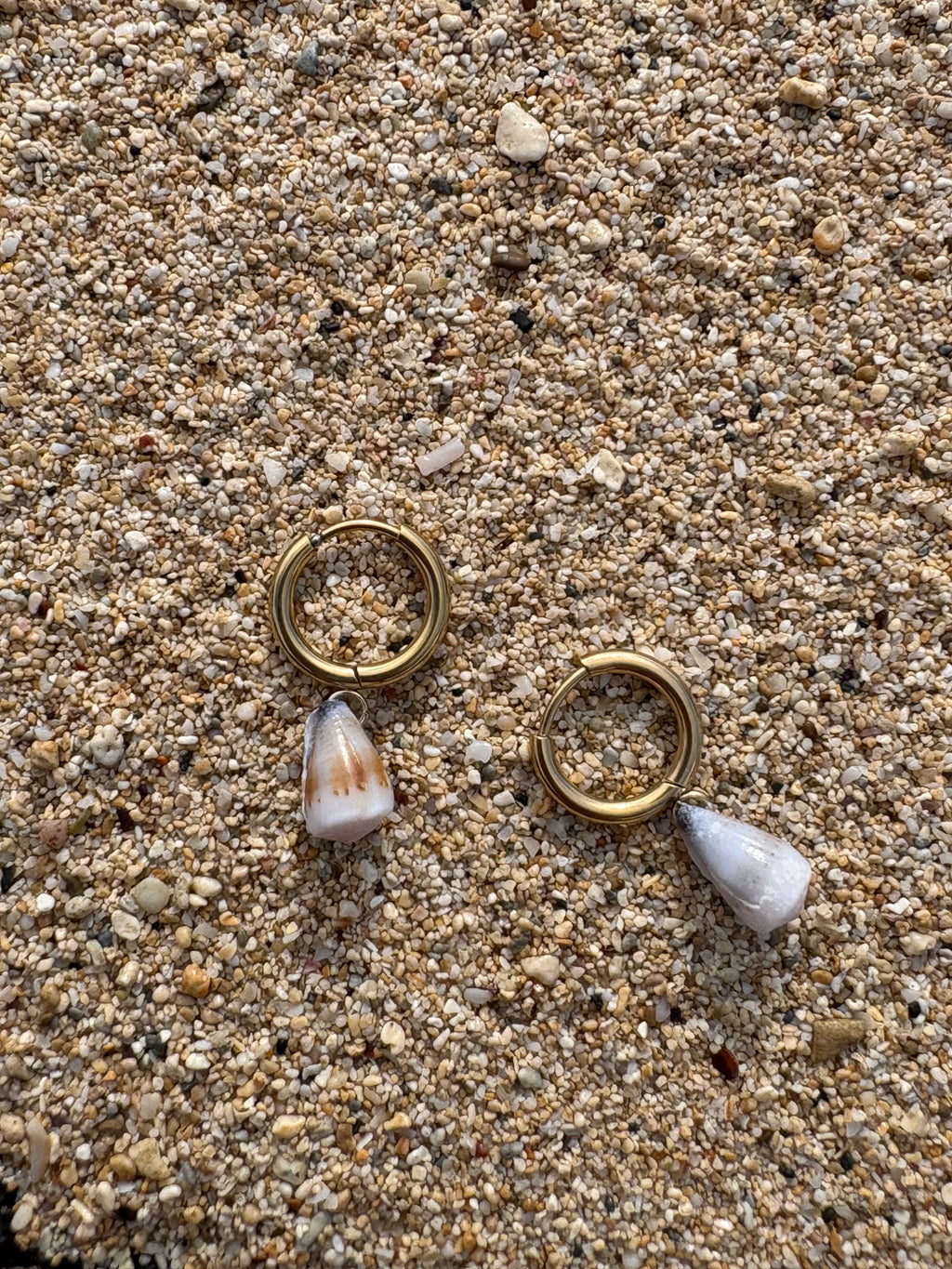 Small Cone Shell Earrings
