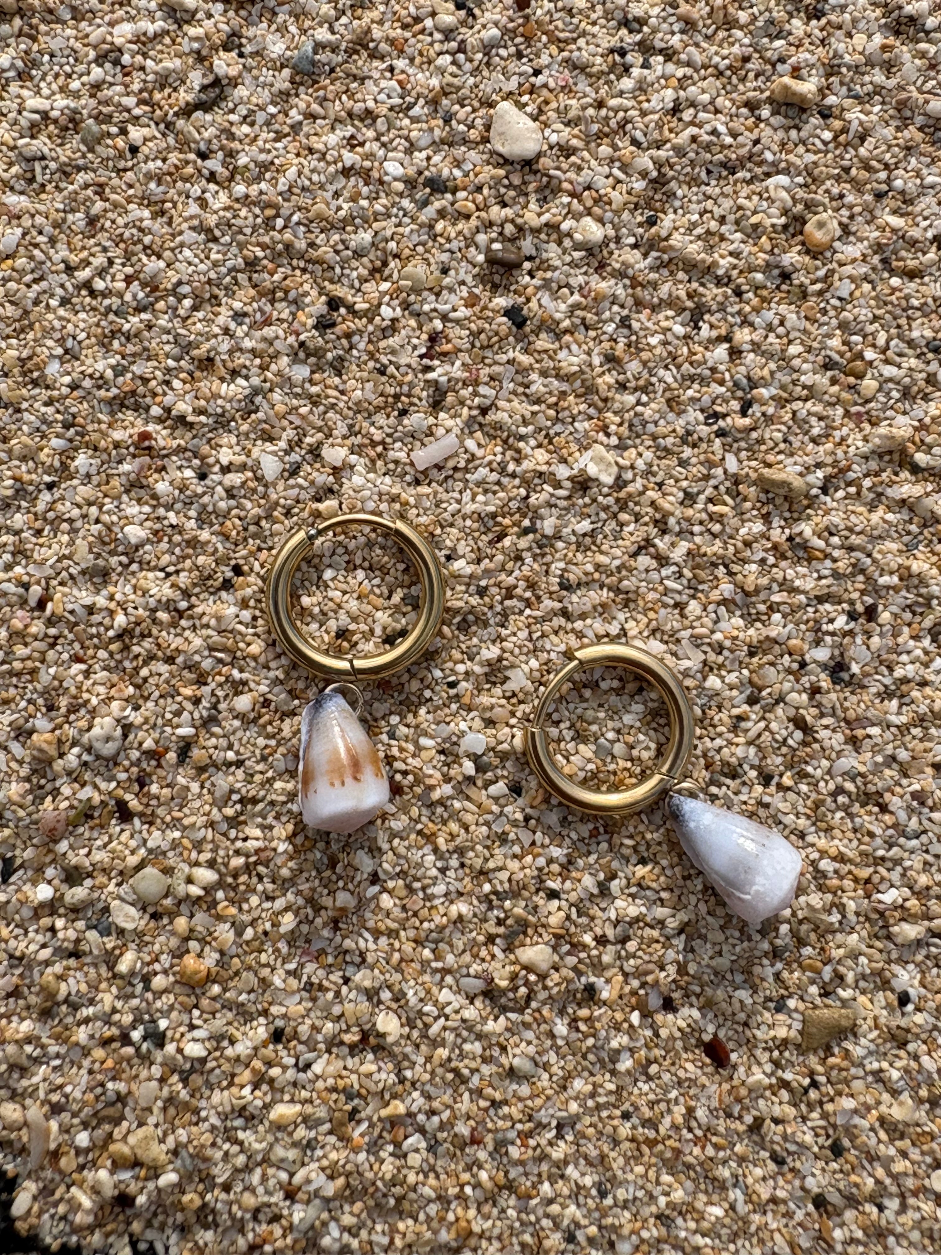 Small Cone Shell Earrings